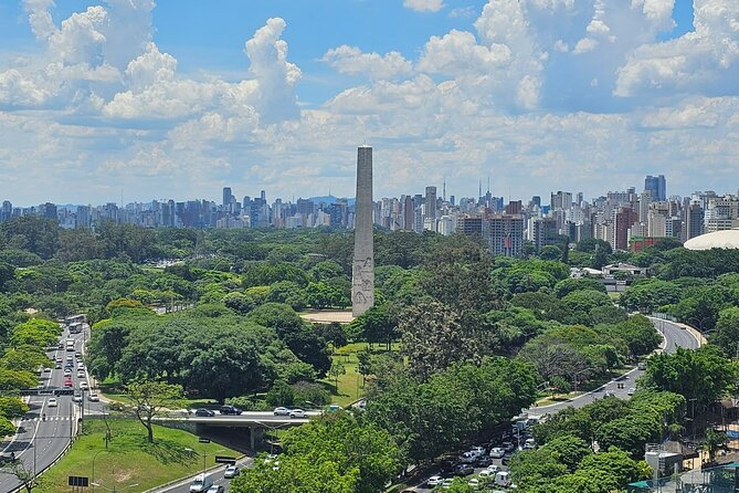 Private Half-Day Guided Tour to São Paulo - A guide who adjusts to your group
