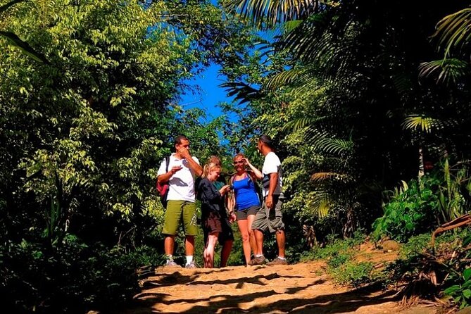 Private Jeep Tour with All Prices Included by PARATY TOURS - Weather, cancellation, and practical planning