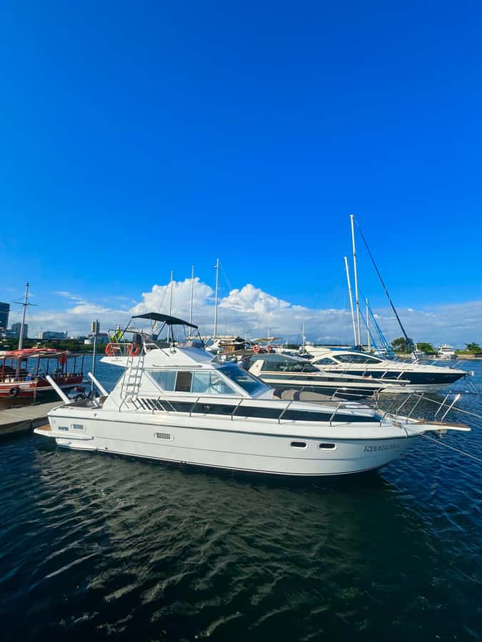 Private speedboat tour in Rio de Janeiro - Rio’s coastline from an unusual angle