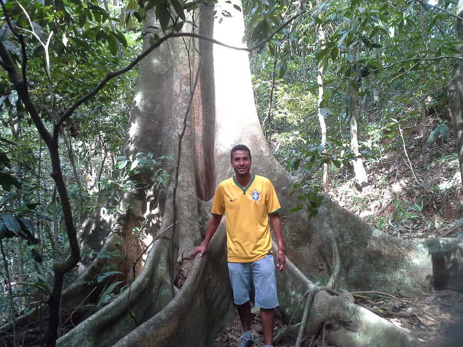 Private Tijuca Forest & Botanical Garden Guided Tour - Walking through Tijuca National Park