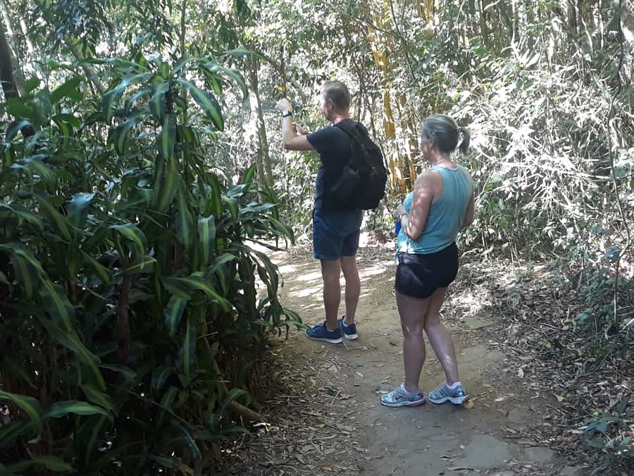 Private Tijuca Forest & Botanical Garden Guided Tour - Cascatinha Taunay and the forest’s water