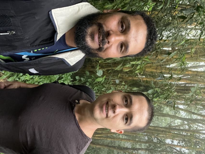 Private Tijuca Forest & Botanical Garden Guided Tour - What to bring for five hours outside