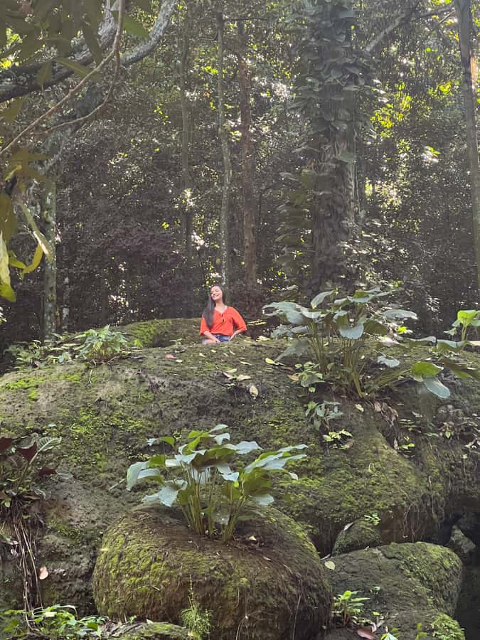 Private Tijuca Forest & Botanical Garden Guided Tour - Starting above Rio at Chinese Viewpoint