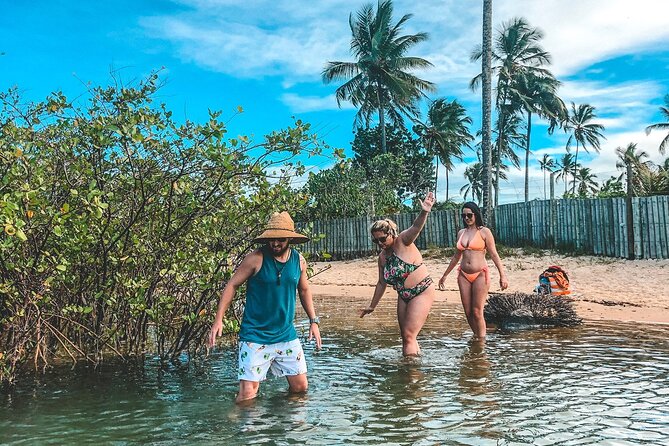 Private Tour to Trancoso - Timing, comfort, and the daily rhythm