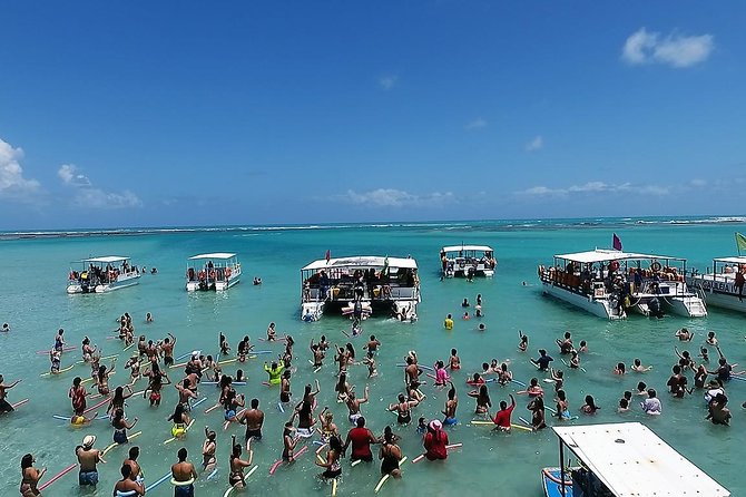 Private Transfer from Recife Airport to Maragogi - The Porto de Galinhas confusion