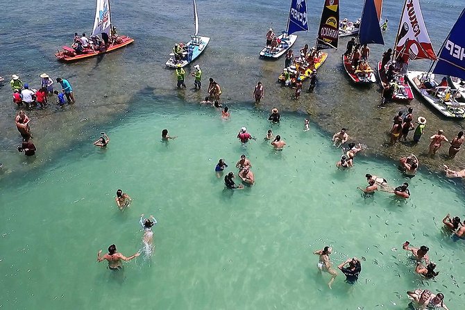 Private Transfer from Recife Airport to Porto de Galinhas - Price, luggage, and group value