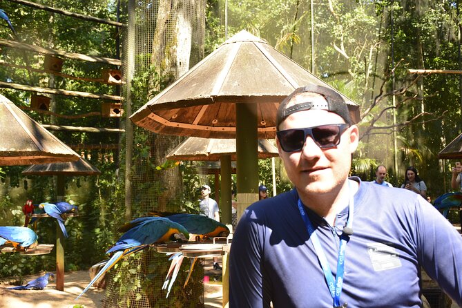 Private transport with guide to Brazil Falls + Bird Park - Why this pairing works so well