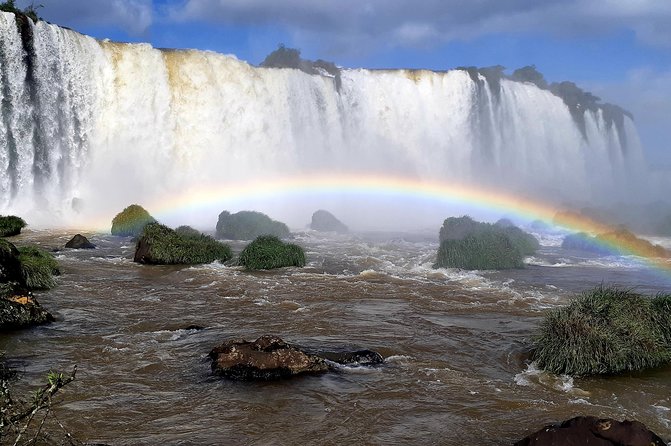 Private transport with guide to Brazil Falls + Bird Park - What private guiding adds to the day