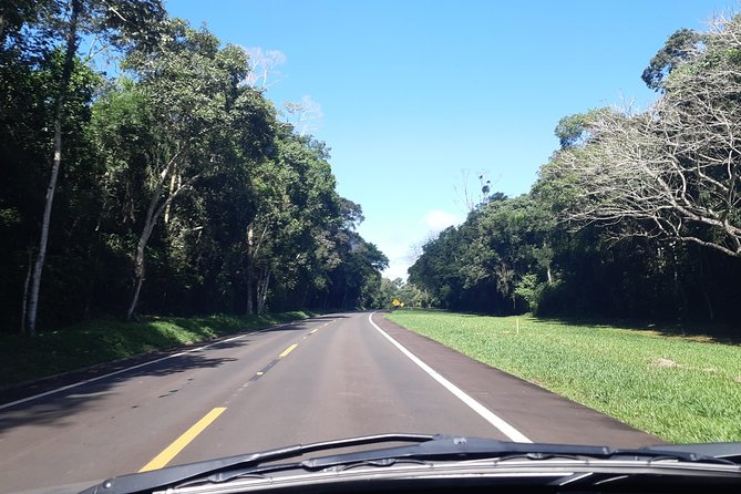 Private transport with guide to Brazil Falls + Bird Park - Who should book this private tour?