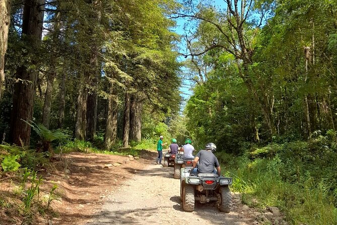Quadricycle Tour to the Hills with Off Road 15km - 01 person - Key points to know before you book