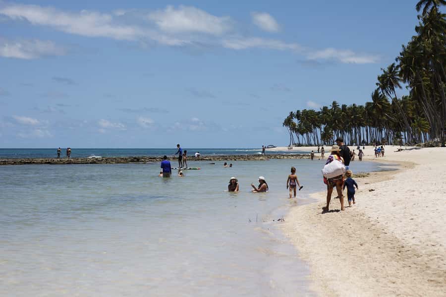 Recife: Carneiros Beach Day Tour - Key points at a glance
