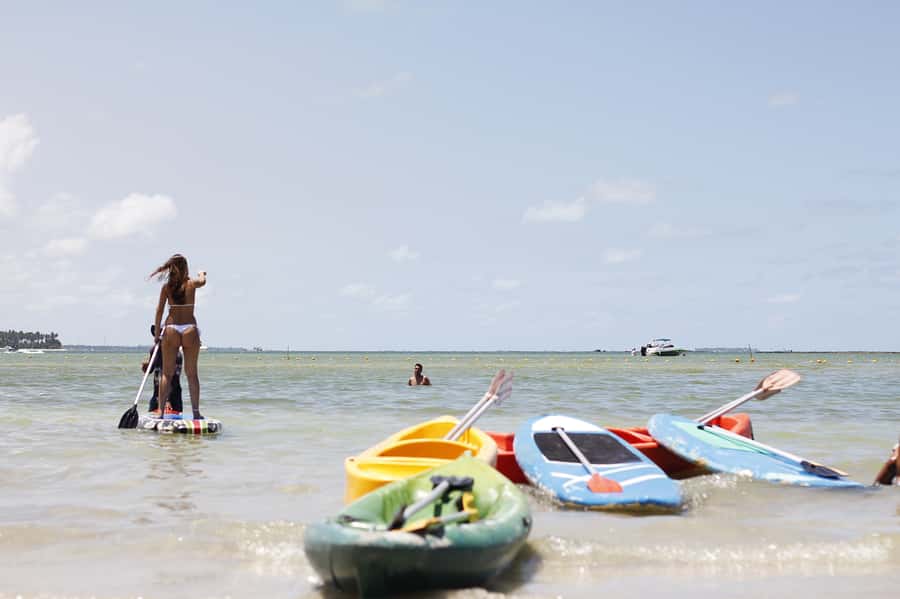 Recife: Carneiros Beach Day Tour - White sand, coconut palms, and calm swimming water