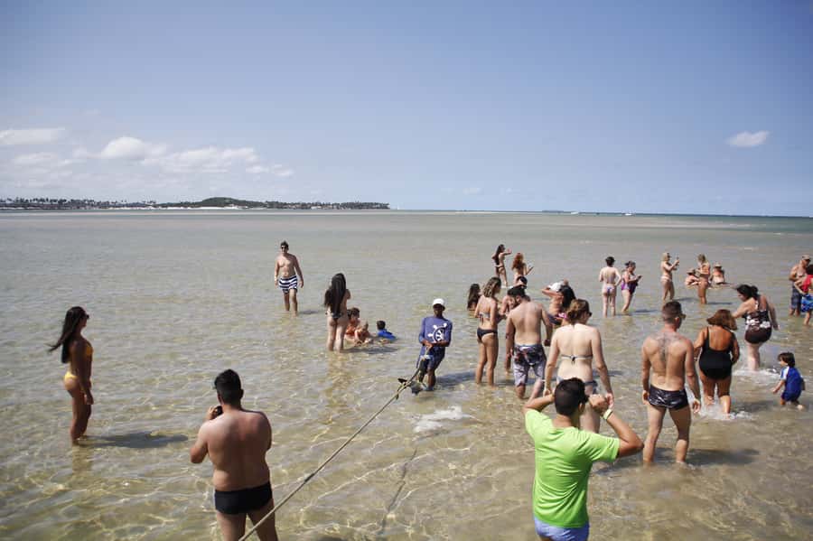 Recife: Carneiros Beach Day Tour - Stand up paddle boarding and optional beach time