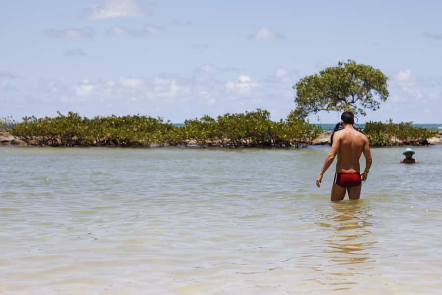 Recife: Carneiros Beach Day Tour - Hotel pickup and the ride south