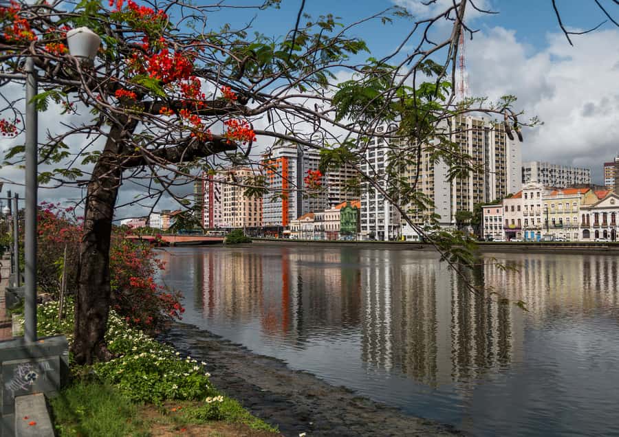 Recife: City Tour Recife & Olinda - Recife Antigo and Arsenal Square