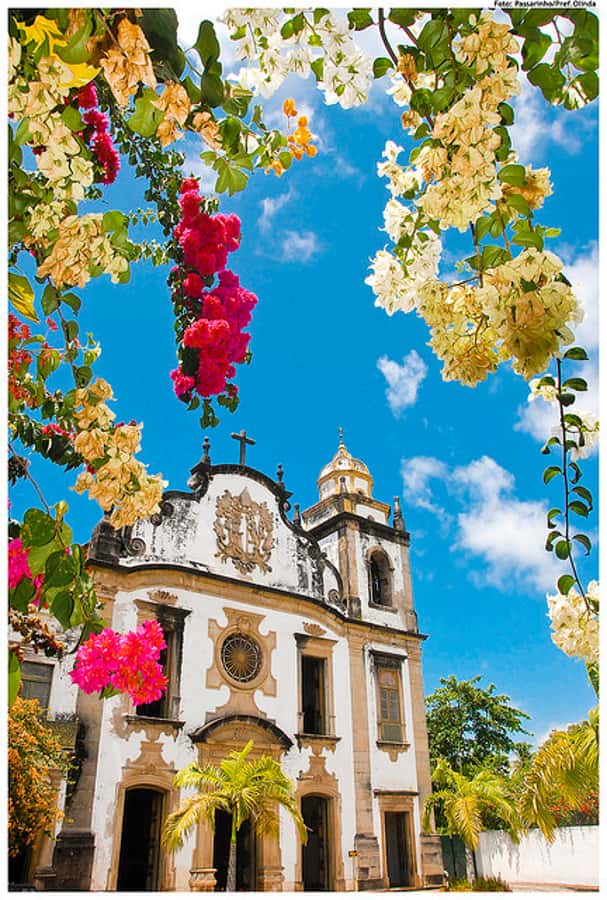 Recife & Olinda City Tour: Unveiling the Charm of Two Cities - The catamaran is optional, not part of the base price