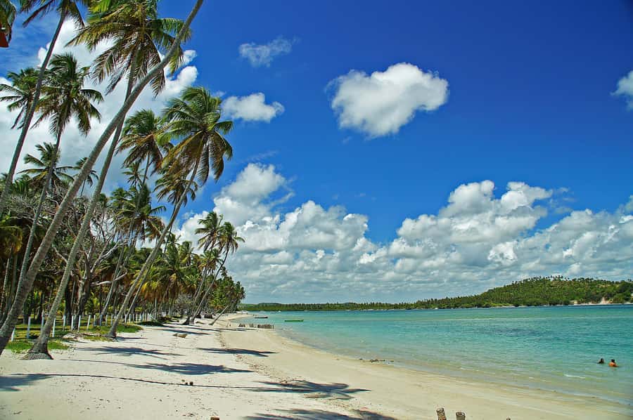 Recife: Tour to Carneiros with Catamaran Ride - Key things to know before you book