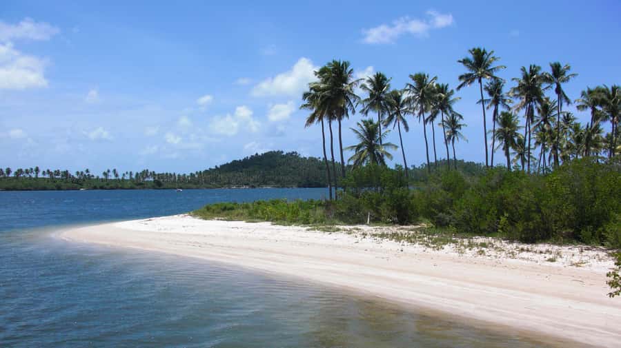 Recife: Tour to Carneiros with Catamaran Ride - First look at Carneiros Beach