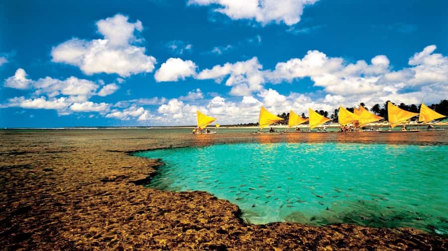 Recife: Tour to Porto de Galinhas - Four free hours in Porto de Galinhas