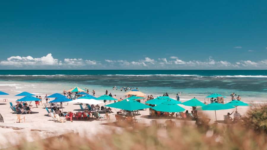 Recife: Tour to Porto de Galinhas - Food, drinks, and a slower beach rhythm