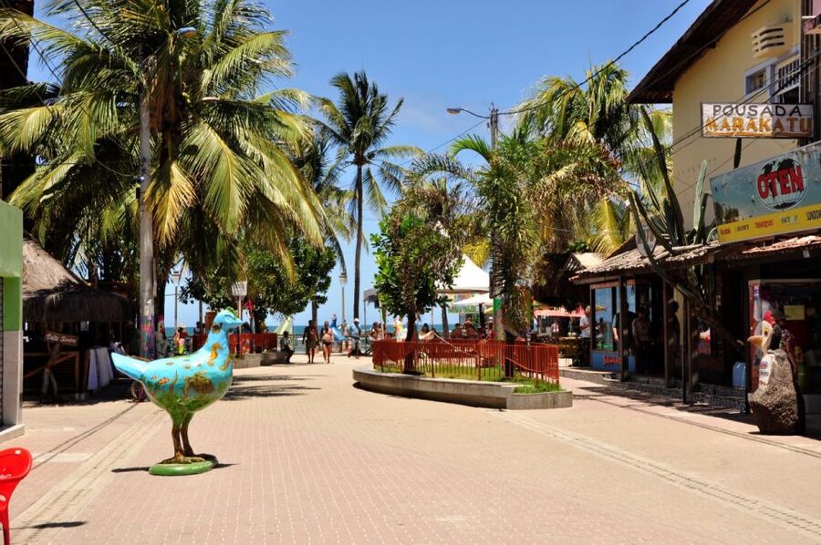 Recife: Tour to Porto de Galinhas - Shopping and free time in the village