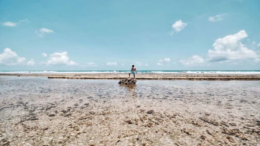 Recife: Tour to Porto de Galinhas - The van ride from Recife takes two hours