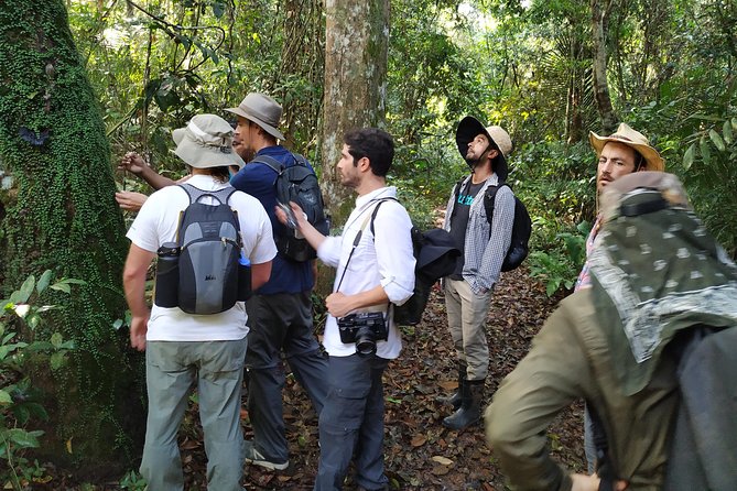 Regional Cruise in the Amazon - Key points to know before booking
