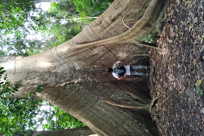 Regional Cruise in the Amazon - A four-day route through the Arapiuns and Tapajós