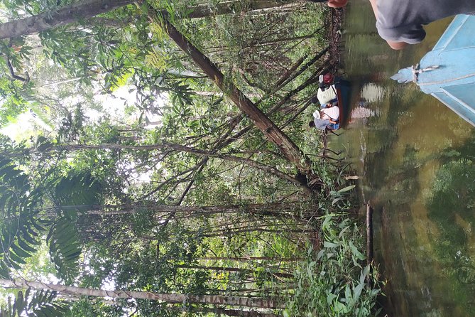 Regional Cruise in the Amazon - Floresta Nacional dos Tapajós