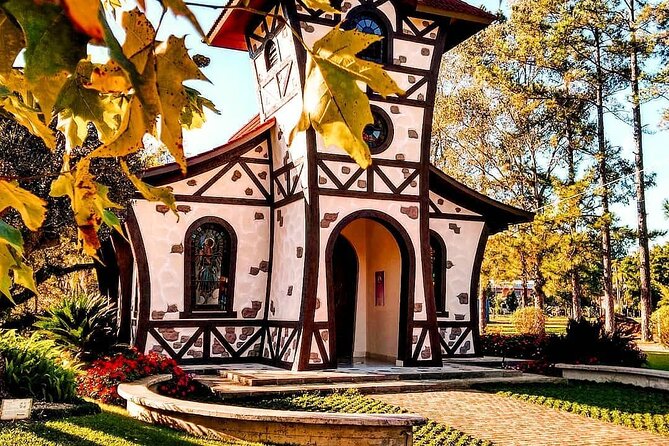 Regular Transport - LAWN | CINNAMON - Why this transfer matters in Gramado