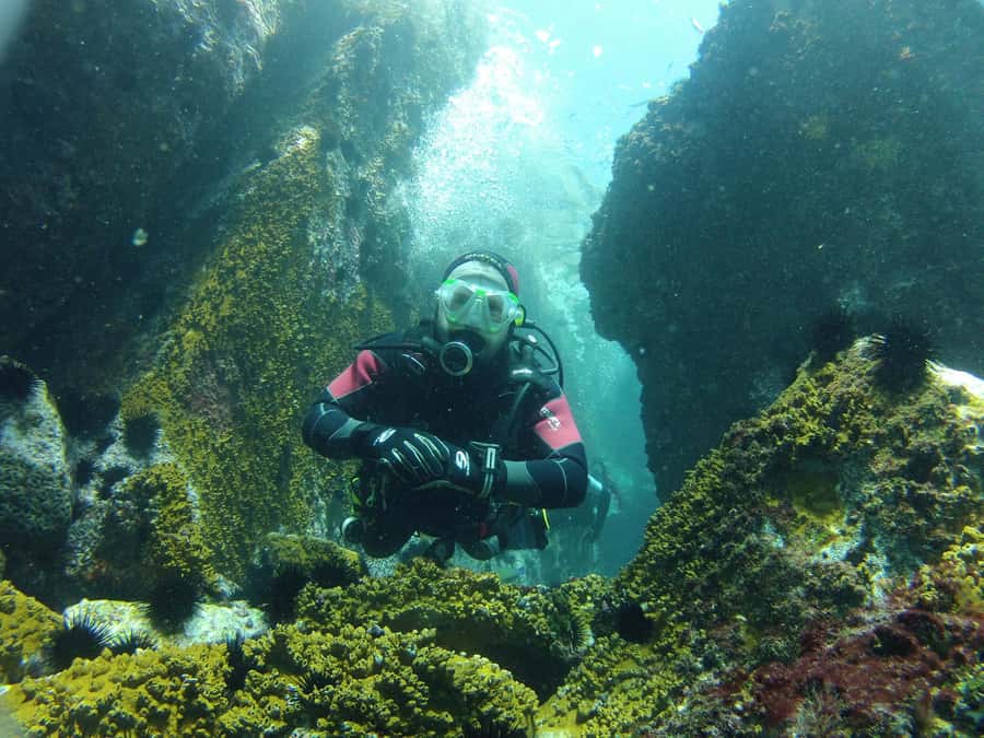 Rio: Best Dive Experience All Inclusive Scuba Diving Package - Why Arraial do Cabo makes the long ride worthwhile