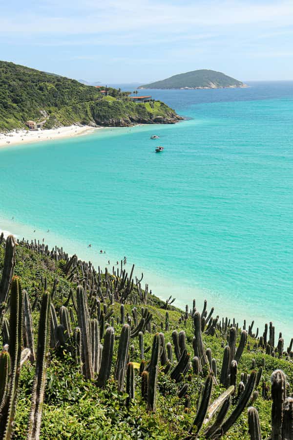 Rio: Best Dive Experience All Inclusive Scuba Diving Package - What beginners can expect underwater
