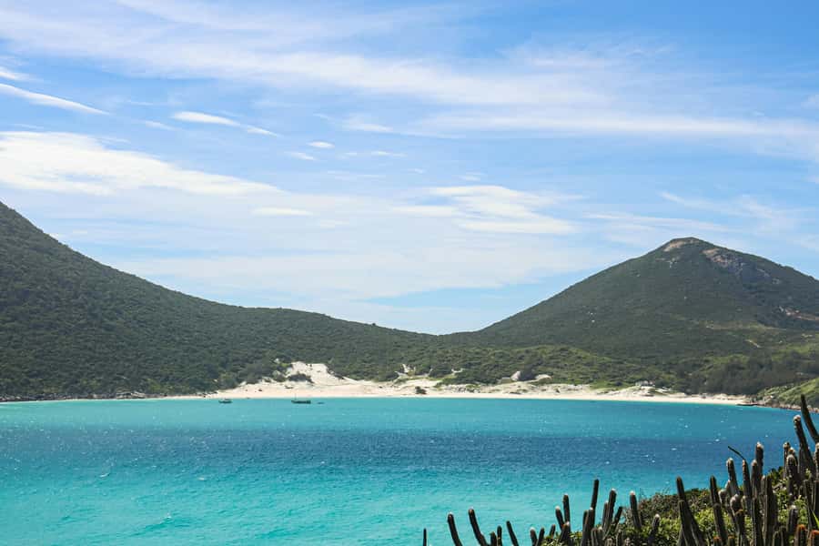 Rio: Best Dive Experience All Inclusive Scuba Diving Package - Boat time, snorkeling, and marine life