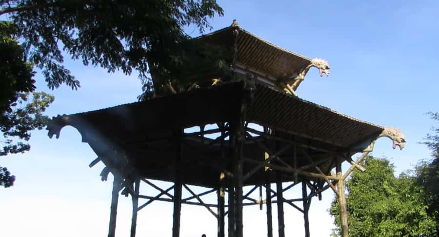 Rio: Botanical Garden, Tijuca Forest, and Parque Lage Tour - Who Should Book This Experience