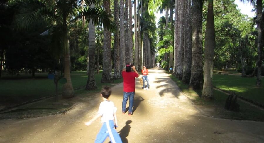 Rio: Botanical Garden, Tijuca Forest, and Parque Lage Tour - The $104 Price: What You Receive