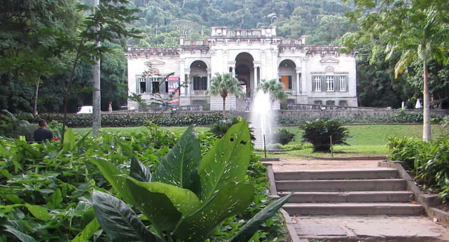 Rio: Botanical Garden, Tijuca Forest, and Parque Lage Tour - What to Pack for the Forest and Garden
