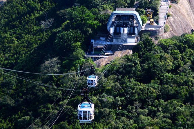 Rio by Day - Main Sights Tour - Laranjeiras, the Sambodrome, and Rio’s story