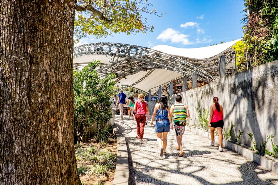 Rio: Christ the Redeemer Early Access and Sugarloaf - Key points to know before booking