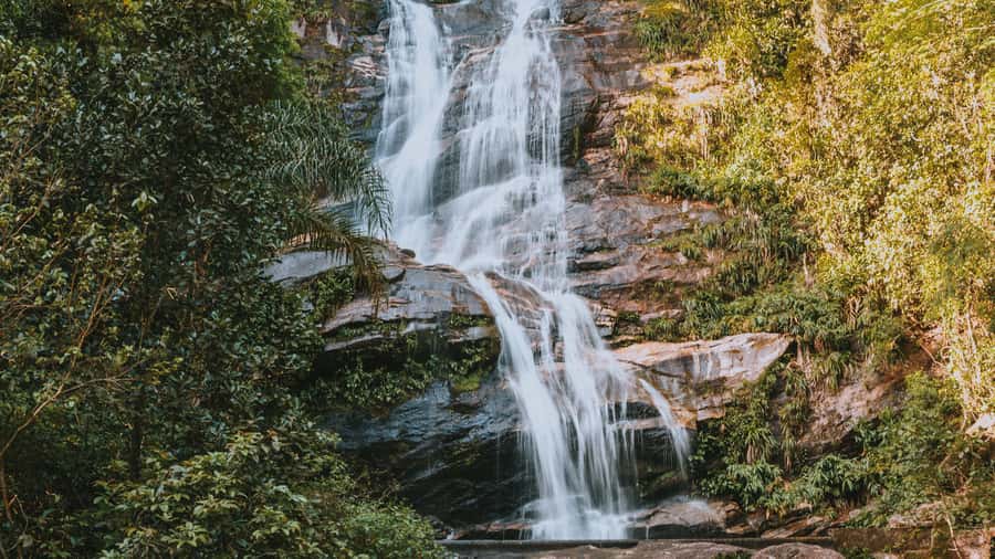 Rio de Janeiro: 4-Hour Botanical Garden & Tijuca Forest Tour - Should you book the Botanical Garden and Tijuca Forest tour?
