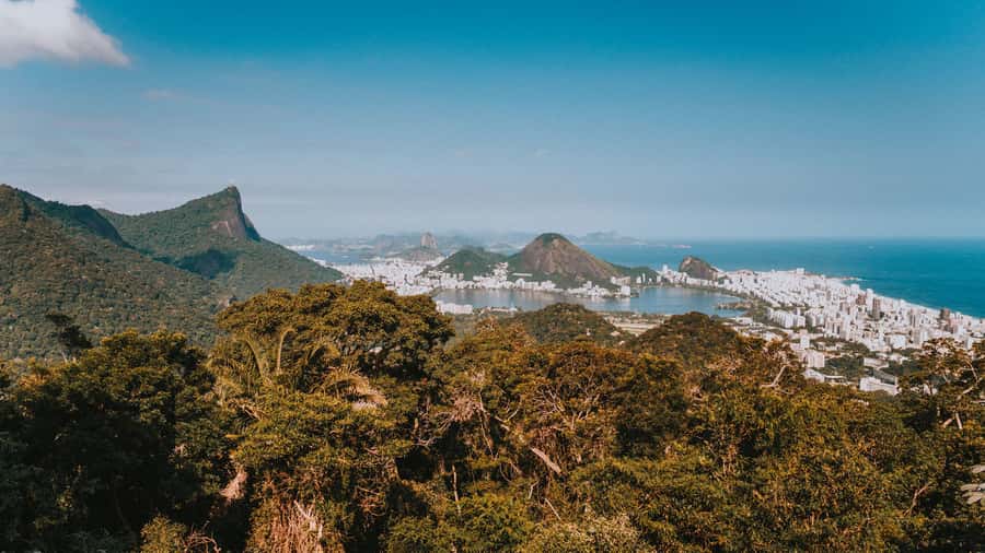 Rio de Janeiro: 4-Hour Botanical Garden & Tijuca Forest Tour - Who should book it
