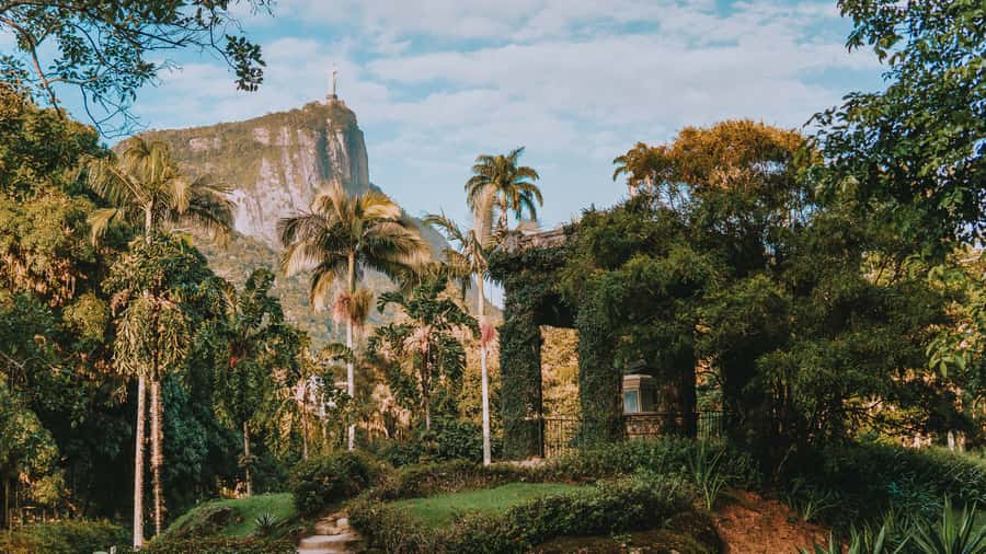 Rio de Janeiro: 4-Hour Botanical Garden & Tijuca Forest Tour - Imperial palms, orchids, and bromeliads