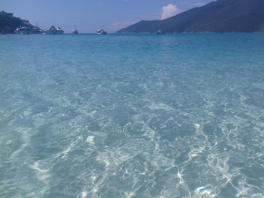 Rio de Janeiro: Arraial do Cabo Scuba Diving Day Trip - Who should book this experience