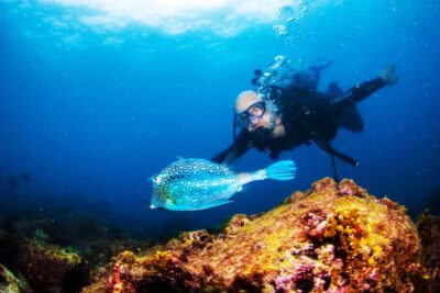 Arraial do Cabo Scuba Diving Day Trip