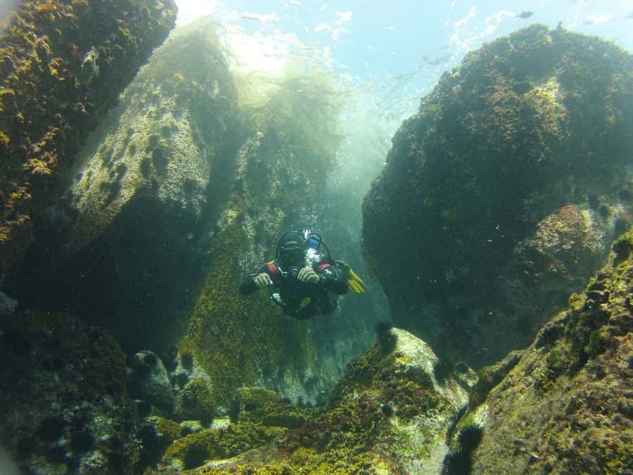 Rio de Janeiro: Arraial do Cabo Scuba Diving Day Trip - What beginners receive underwater