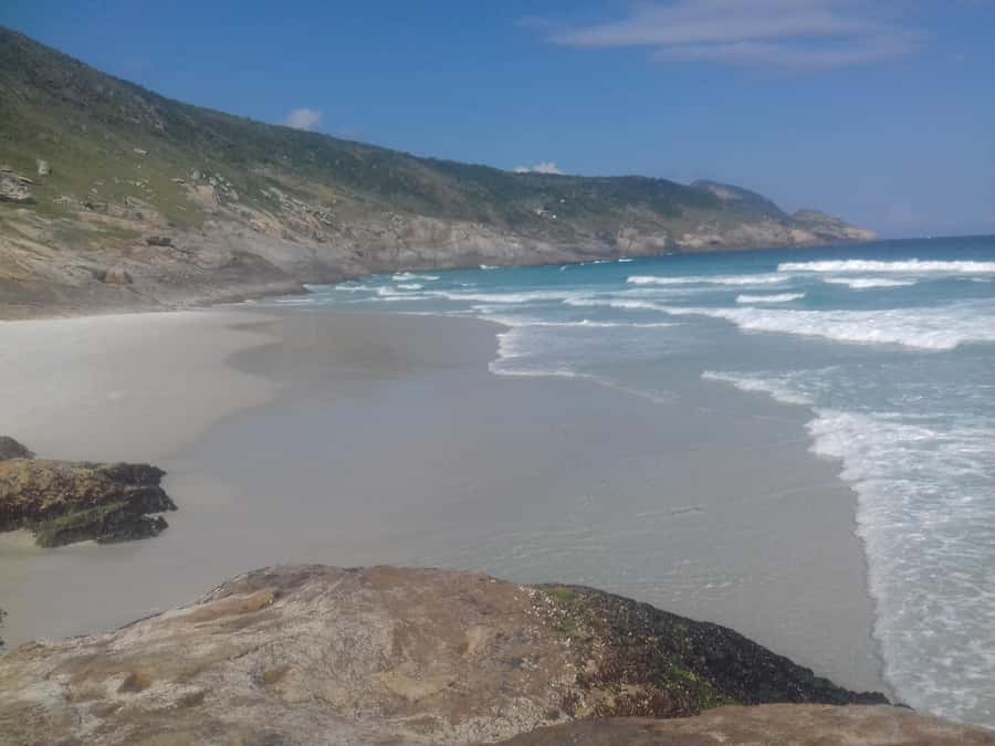 Rio de Janeiro: Arraial do Cabo Scuba Diving Day Trip - Marine life and visibility at Arraial do Cabo