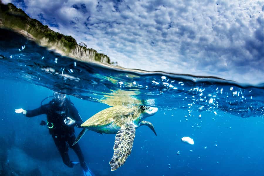 Rio de Janeiro: Arraial do Cabo Scuba Diving Day Trip - The one-hour break and lunch question