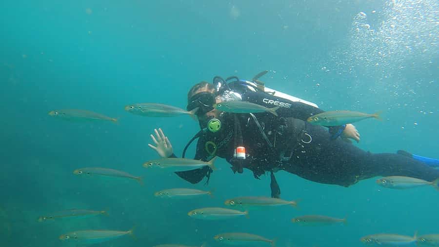Rio de Janeiro: Arraial do Cabo Scuba Diving Day Trip - When to avoid this outing