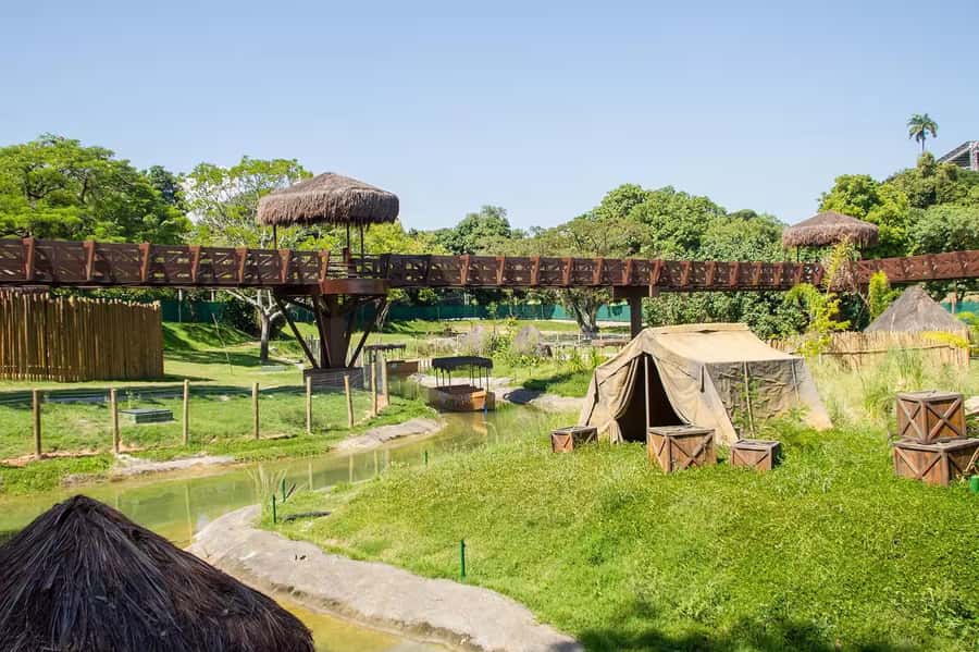 Rio de Janeiro: BioParque Guided Tour with Transfer - What BioParque’s new concept means for your visit
