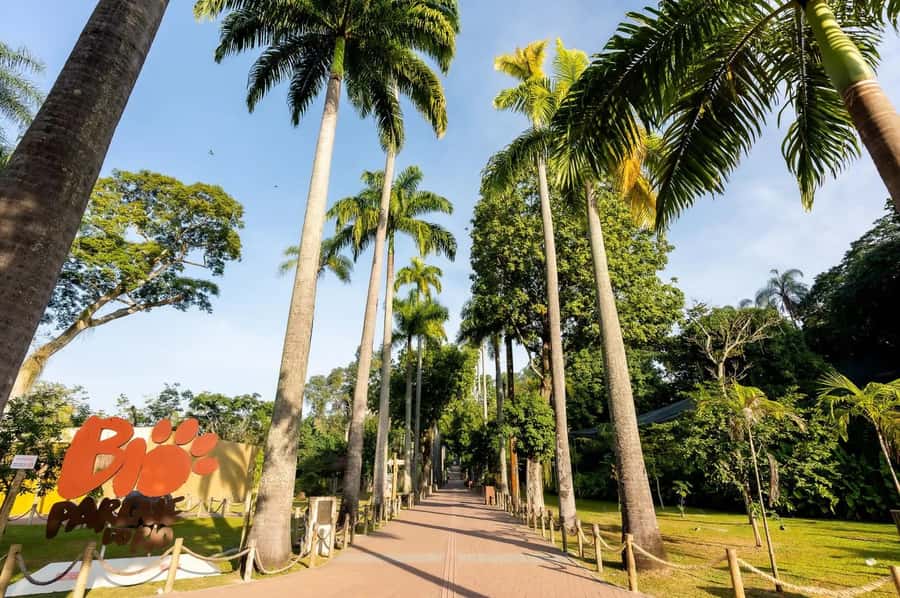 Rio de Janeiro: BioParque Guided Tour with Transfer - Is the $58 price good value?