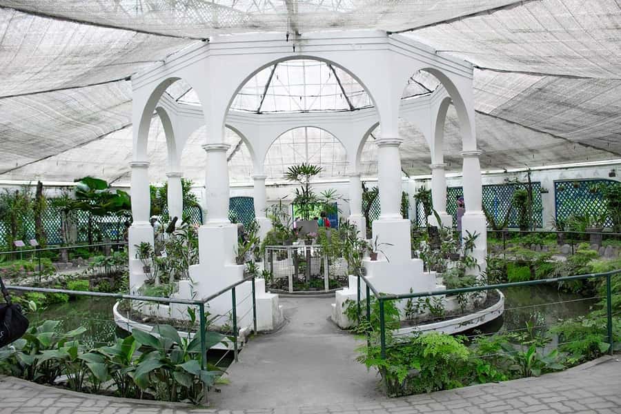 Rio de Janeiro: Botanical Garden & Tijuca Forest Guided Tour - Guides, languages, and group size